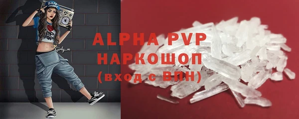 индика Баксан