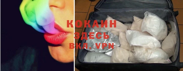 индика Баксан