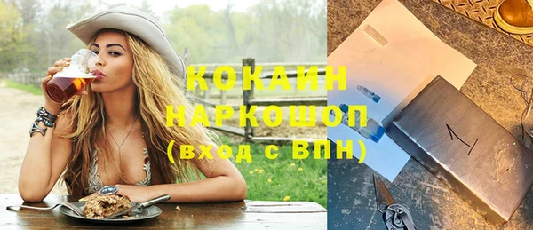 индика Баксан